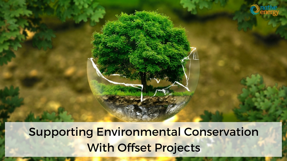 Supporting Environmental Conservation With Offset Projects