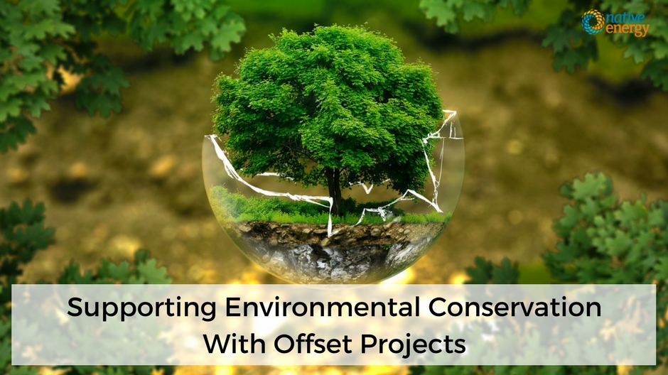 Support Environmental Conservation With Offset Projects NativeEnergy