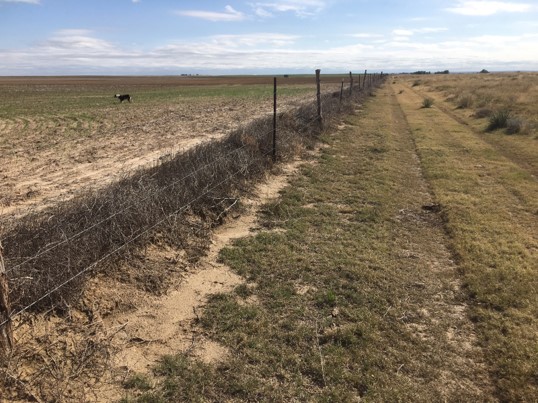 Northern Great Plains Regenerative Grazing ProjectHB - Native