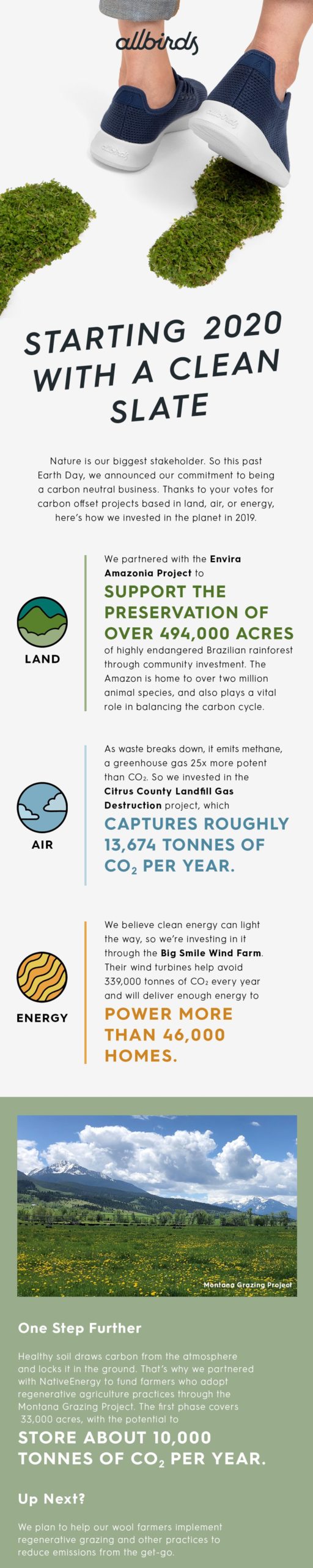 Allbirds hot sale case study