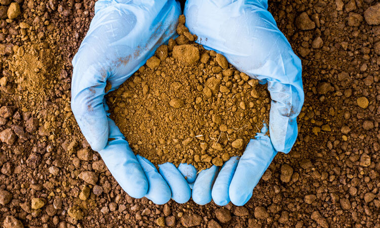 gloved hands holding sandy soil