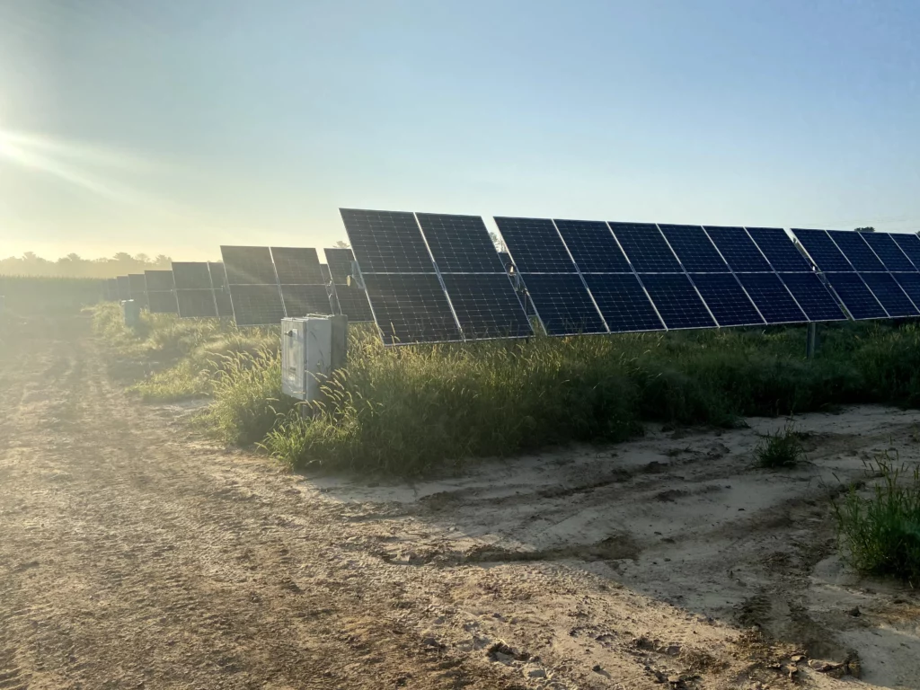 Strobus Solar Project Solar Panels