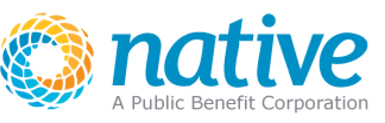 Native, A Public Benefit Corporation Logo